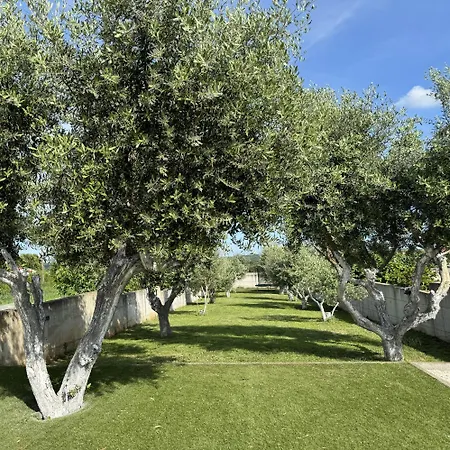 Genesis - Stadtvilla Istrien - Mit Privatem, Beheizbaren Infinity Pool Und Olivengarten