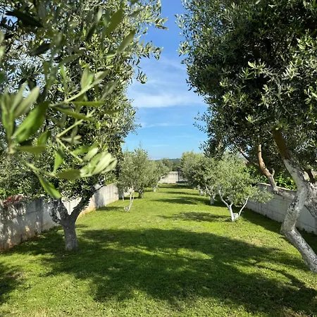 Holiday home Genesis - Stadtvilla Istrien - Mit Privatem, Beheizbaren Infinity Pool Und Olivengarten Marcana